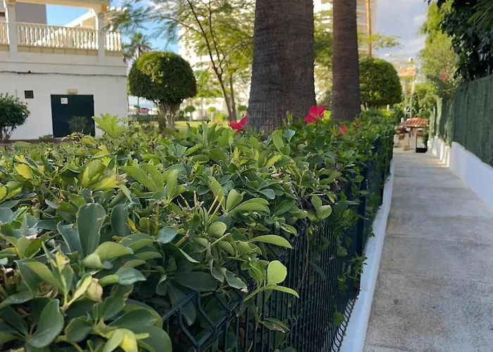 Copacobana Ocean View Playa Americas *