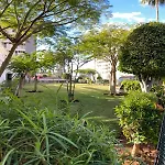 Copacobana Ocean View Playa Americas * 阿德耶