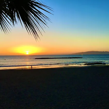 公寓 Copacobana Ocean View Playa Americas